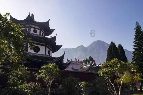 虫虫助手下载